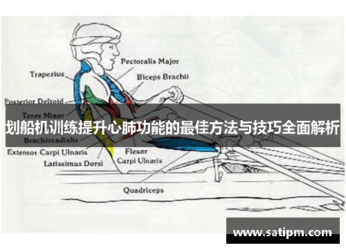 划船机训练提升心肺功能的最佳方法与技巧全面解析