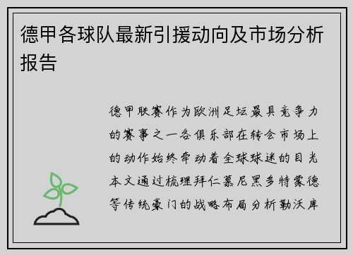 德甲各球队最新引援动向及市场分析报告